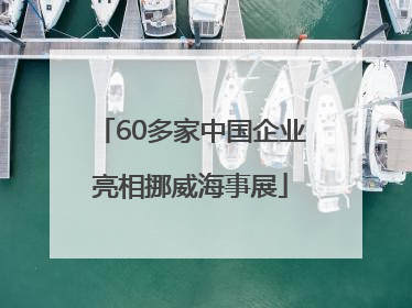 60多家中国企业亮相挪威海事展